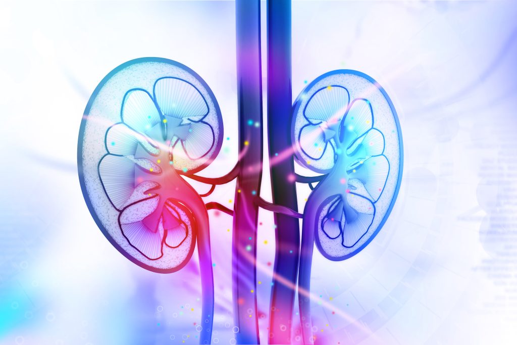 x-ray type image of kidneys