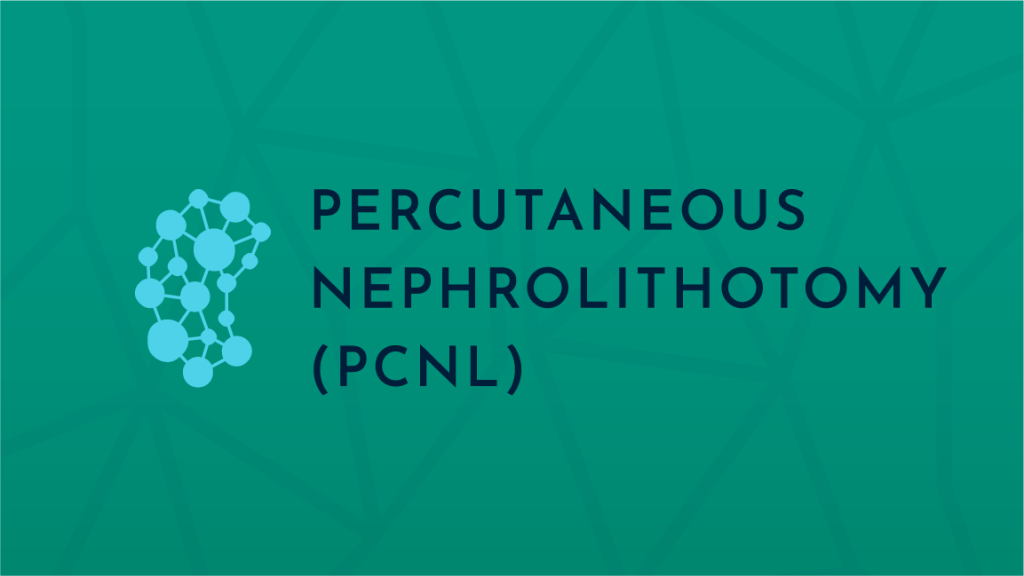 percutaneous nephrolithotomy